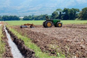 Fedeagro ahora tiene un plan y estima duplicar producción agrícola