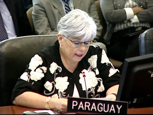 La embajadora de Paraguay ante la Organización de Estados Americanos (OEA), Elisa Ruiz Díaz / Captura