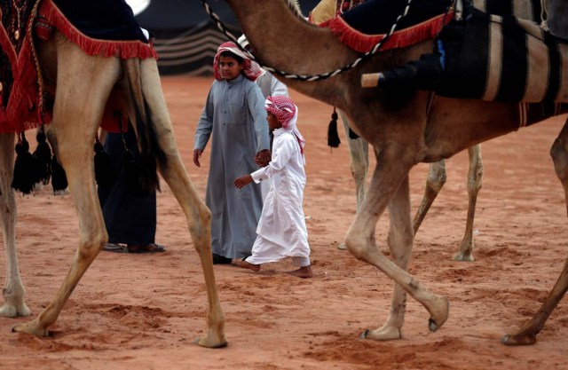 Boys walk near camels during the King Abdulaziz Camel Festival in Rimah Governorate, north-east of Riyadh, Saudi Arabia March 29, 2017. REUTERS/Faisal Al Nasser