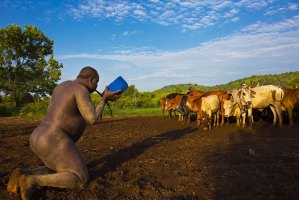 La repugnante dieta de una tribu en Etiopía en donde compiten por ser el más gordo (Fotos + WTF)