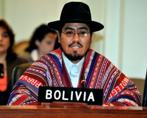 Embajador boliviano OEA torpedea reunión pública sobre Venezuela