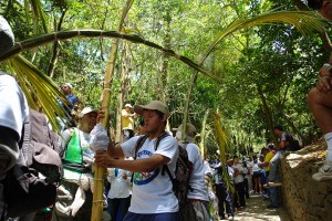 Turismo Miranda acompañará a Palmeros de Chacao en su ruta al cerro El Ávila