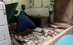 Si vas pendiente de un pescadito se te quitarán las ganas cuando veas su nuevo precio SUSTO (+Fotos)