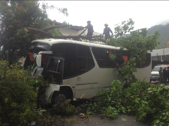 Uno de los autobuses que colisionó contra árbol en La Florida Foto: @JonathanQuantip