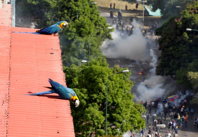 Imágenes de la movilización opositora de este #18May. REUTERS/Christian Veron