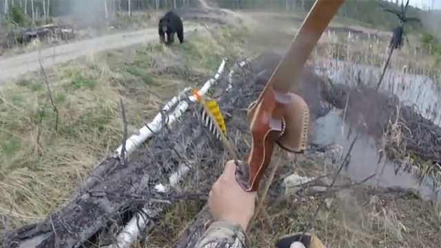 Ataque de oso / Captura de video 