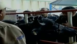 Maduro le pide apoyo a las vacas para impulsar la Constituyente (VIDEO)