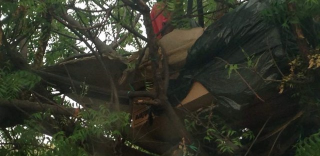 Niños indigentes de Maracaibo duermen en los árboles