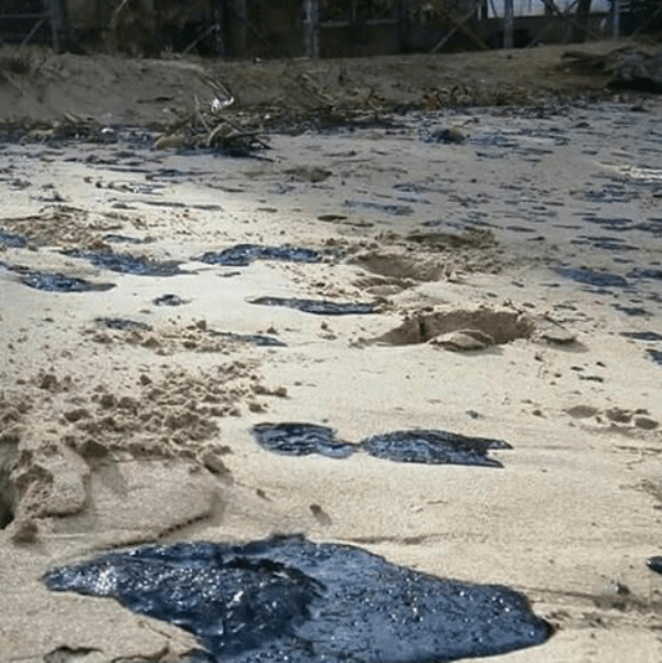 Milagros Paz pedirá evaluar daños ambientales en costas de Paria tras derrame