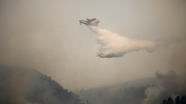 De acuerdo con datos del Sistema Europeo de Información sobre Incendios Forestales, más de 40.000 hectáreas de bosques portugueses han sido destruidas por el fuego. Se espera que las temperaturas anormalmente altas disminuyan en los próximos días.