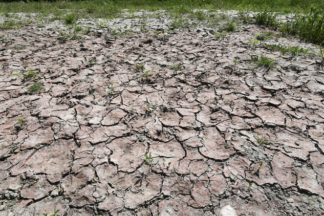 Esta semana fue declarado el estado de emergencia por la sequía en las provincias de Parma y Piacenza (Italia), al norte del país, en medio de las altas temperaturas. En la imagen, una porción seca del río Po, el más largo del país.