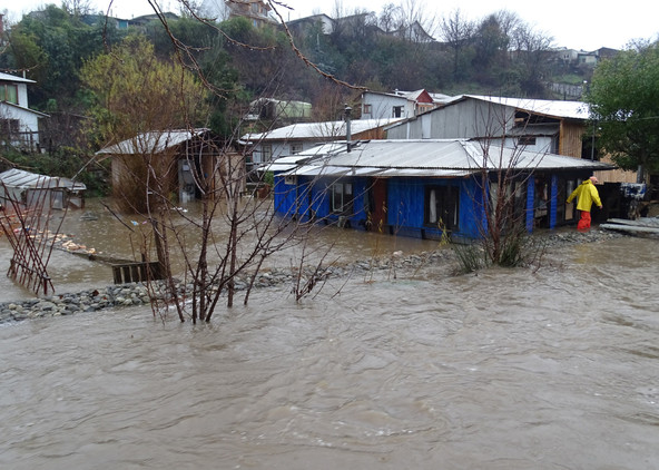 La semana pasada en la cuidad de Curanilahue (región del Bío-Bío, en Chile) las lluvias torrenciales provocaron el desbordamiento de varias fuentes fluviales y la evacuación de varias familias. Las precipitaciones estuvieron acompañadas de fuertes vientos que también provocaron daños materiales.