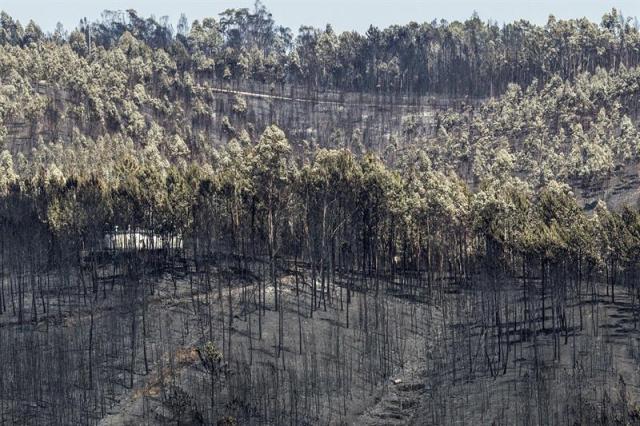 Pedrógão Grande (Potugal) 21 de junio de 2017. El incendio se declaró en la tarde del sábado 17 de junio al impactar un rayo en un árbol seco, de acuerdo con la versión que manejan las autoridades. Han muerto al menos 64 personas, más de 200 resultaron heridas y se han quemado más de 30.000 hectáreas. EFE/Paulo Cunha