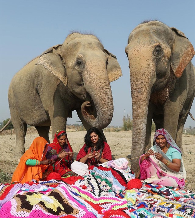Abrigos-elefantes-India-SF-3 (1)