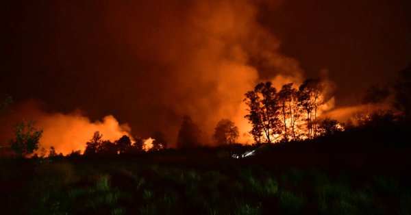 Un incendio arrasa un parque natural del sur de Holanda (fotos y video)