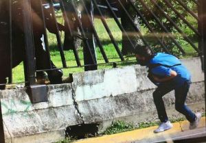 Secuencia fotográfica muestra cómo un GNB asesina a quemarropa a manifestante en La Carlota