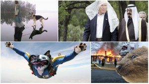 Éstos son los ganadores de las más épicas batallas del Photoshop (+Fotos)
