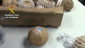 Arrestan a venezolana y dos colombianos que ingresaban cocos rellenos con cocaína a España (fotos)