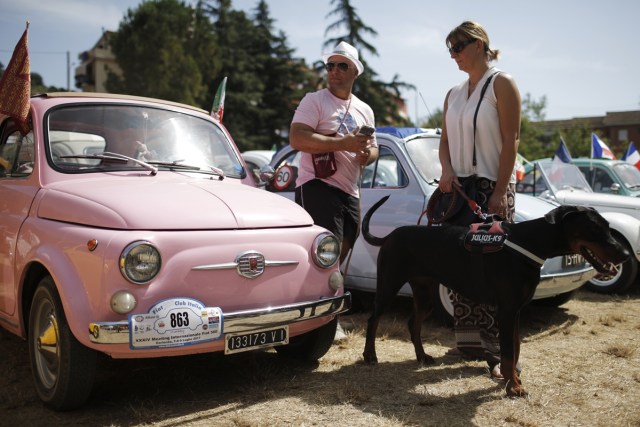 Participants let their dog get a breath of air during the 34th International Rally of Fiat 500 Club Italia for the 60th anniversary of this car on July 8, 2017, in Garlenda, near Genoa.   More than 1200 cars came from Europe to take part at the 34 rally of Garlenda to celebrate the 60th anniversary of the Fiat 500.  / AFP PHOTO / Marco BERTORELLO