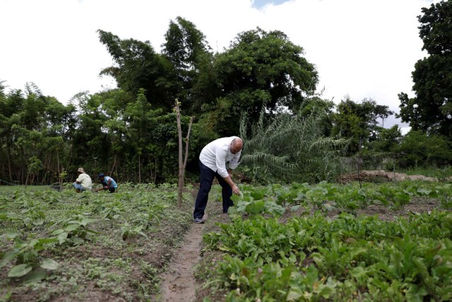 Chef Carlos Garcia (C) looks at the plants as farmers work at an urban farm in Caracas, Venezuela June 30, 2017. Picture taken June 30, 2017. REUTERS/Carlos Garcia Rawlins