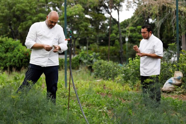 Chef Carlos Garcia (L) looks at the plants at an urban farm in Caracas, Venezuela June 30, 2017. Picture taken June 30, 2017. REUTERS/Carlos Garcia Rawlins