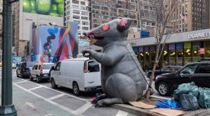 Alcalde de Nueva York en crisis por la cantidad de ratas en la ciudad e implementó loca propaganda para acabarlas