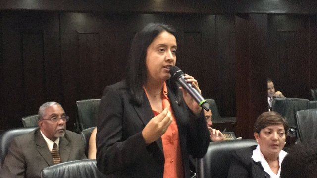 La diputada de la Asamblea Nacional por el estado Táchira, Gaby Arellano
