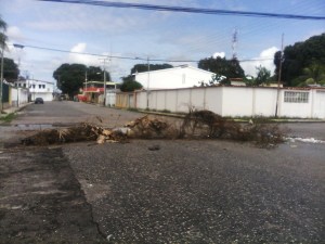 En Cojedes no creen en constituyente cubana y levantaron barricadas #29Jul (Fotos)