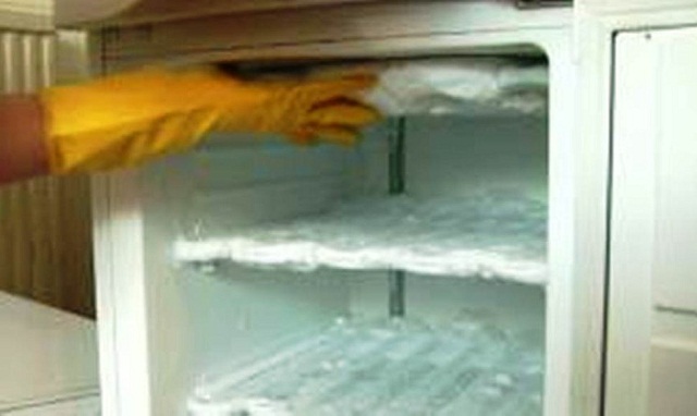 Los niños habrían estado dentro del congelador durante 10 años (Foto: elnuevodiario.com.ni)