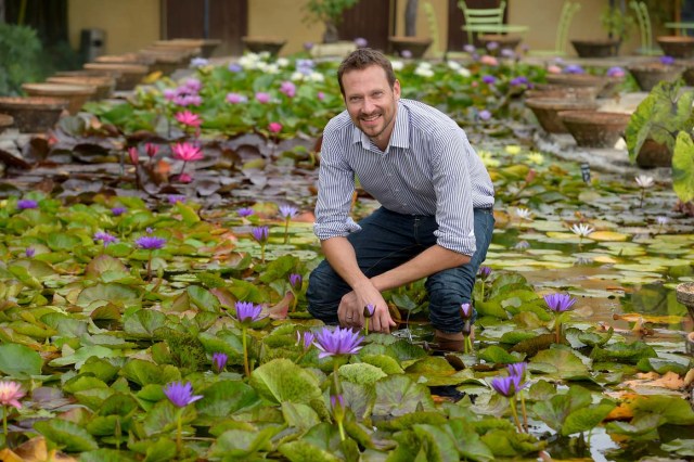 US-French Robert Sheldon poses among water lilies at the Latour-Marliac nursery in Le Temple-sur-Lot, southwestern France, on August 23, 2017. The Latour-Marliac nursery, a first of its kind in Europe, has been growing coloured water lilies since 1870 and was a source of inspiration for French painter Claude Monet's "Water Lilies" (Nympheas) series. / AFP PHOTO / NICOLAS TUCAT
