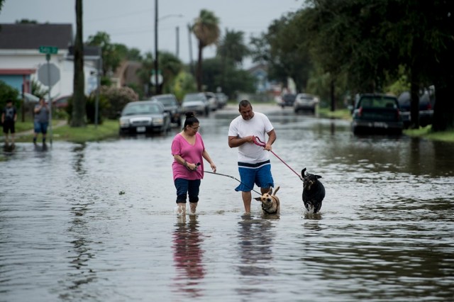 People walk dogs through flooded streets as the effects of Hurricane Henry are seen August 26, 2017 in Galveston, Texas. Hurricane Harvey left a trail of devastation Saturday after the most powerful storm to hit the US mainland in over a decade slammed into Texas, destroying homes, severing power supplies and forcing tens of thousands of residents to flee. / AFP PHOTO / Brendan Smialowski