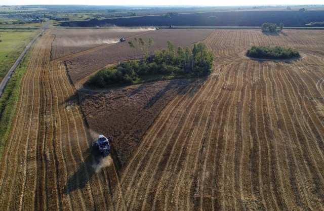A combine, taken with a drone, harvests wheat in a field of the "Zemlyaki" farm in Krasnoyarsk region, Russia August 26, 2017. Picture taken August 26, 2017. REUTERS/Ilya Naymushin