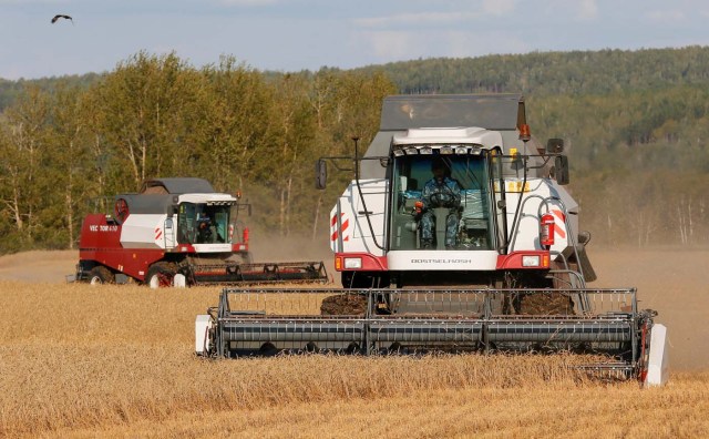 Combines harvest wheat in a field of the "Zemlyaki" farm in Krasnoyarsk region, Russia August 26, 2017. Picture taken August 26, 2017. REUTERS/Ilya Naymushin