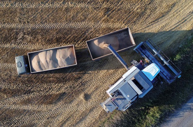 A combine, taken with a drone, loads wheat in a field of the "Zemlyaki" farm in Krasnoyarsk region, Russia August 26, 2017. Picture taken August 26, 2017. REUTERS/Ilya Naymushin