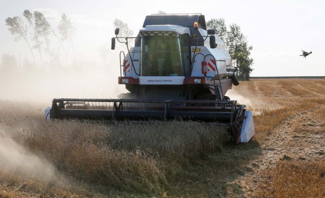 A combine harvests wheat in a field of the "Zemlyaki" farm in Krasnoyarsk region, Russia August 26, 2017. Picture taken August 26, 2017. REUTERS/Ilya Naymushin