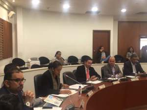 Gaby Arellano en el Congreso colombiano: Hoy se debe decretar la emergencia humanitaria en la frontera colombo-venezolana