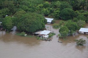 Delta Amacuro bajo el agua: Reportan inundaciones por fuertes lluvias (fotos)