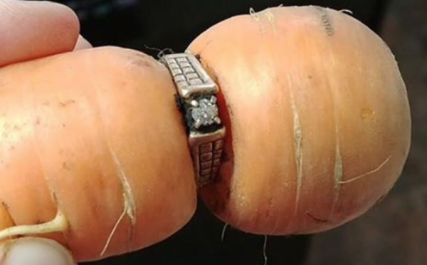 Perdió su anillo de casada y lo encontró 13 años después en una zanahoria (Foto)