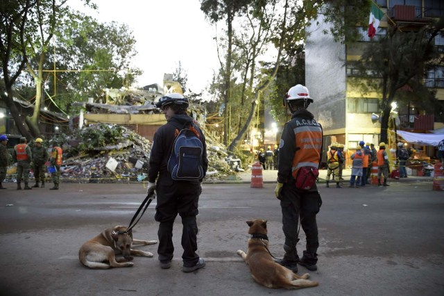 Two Argentinian rescue workers take a break with their sniffer dogs while participating in the search for survivors at a flattened building in Mexico City on September 24, 2017, five days after the devastating quake that hit central Mexico. A strong 6.1 magnitude quake shook Mexico on Saturday, causing panic in traumatized Mexico City, where rescuers trying to free people trapped from this week's earlier earthquake had to temporarily suspend work. / AFP PHOTO / ALFREDO ESTRELLA