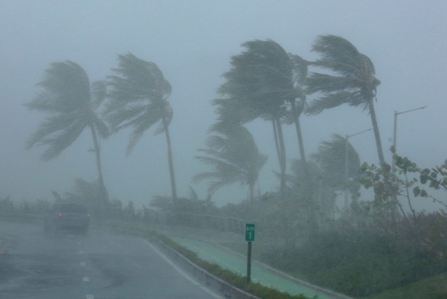 Palm trees bend in the wind as Hurricane Irma slammed across islands in the northern Caribbean on Wednesday, in San Juan, Puerto Rico September 6, 2017.  REUTERS/Alvin Baez