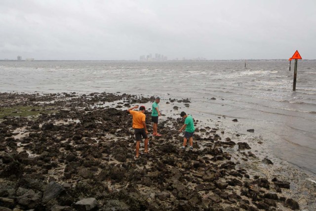 A man and his sons walk on the sea floor after water receded from Hillsborough Bay ahead of the arrival of Hurricane Irma in Tampa, Florida, U.S., September 10, 2017. REUTERS/Chris Wattie