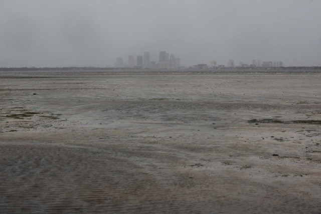 The Tampa skyline is pictured across Hillsborough Bay after water receded from the harbour ahead of the arrival of Hurricane Irma in Tampa, Florida, U.S., September 10, 2017. REUTERS/Chris Wattie