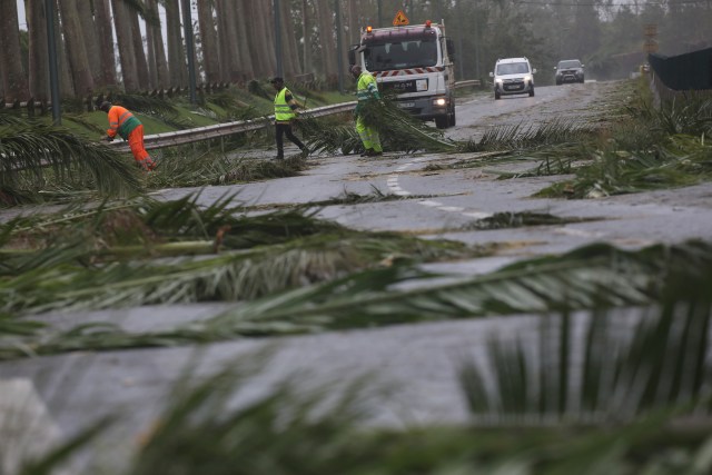 Los trabajadores retiran ramas de árboles caídos de una carretera en la isla de Guadalupe golpeada por el huracán María, el 19 de septiembre de 2017. REUTERS/Andres Martinez Casares