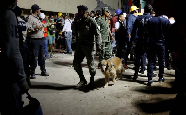 A rescue worker walks with a sniffer dog during a floodlit search for students at Enrique Rebsamen school in Mexico City, Mexico September 19, 2017. Picture taken on September 19, 2017REUTERS/Carlos Jasso