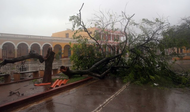 HAB01. REMEDIOS (CUBA), 09/09/17.- Vista de un árbol caído en las calles de la ciudad de Remedios, en el centro de Cuba, durante el paso del huracán Irma hoy, sábado 09 de septiembre. El centro de Cuba amaneció con los estragos causados por los vientos huracanados, de entre 160 y 190 kilómetros por hora, con los Irma azotó la corta norte durante la noche, informan medios oficiales de la isla. EFE/Alejandro Ernesto