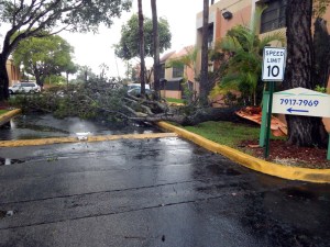 Inclementes lluvias se desatan en Florida: Habitantes están a la espera de una fuerte tormenta tropical