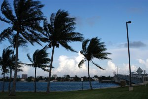 Miami Beach reabre el acceso tras el huracán Irma