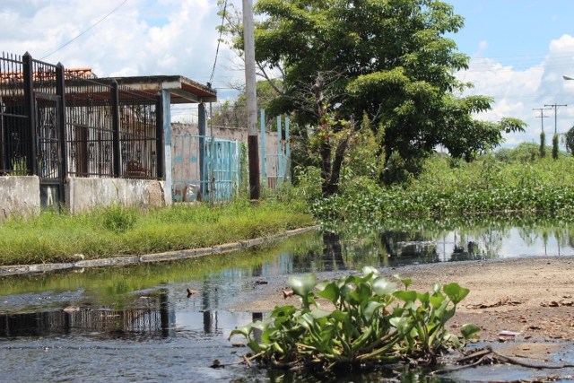 Casas afectadas en el sector Mata redonda/ Foto: Mildred Manrique, 800Noticias