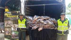 Armada colombiana decomisa 1,5 toneladas de pescado presuntamente proveniente de Venezuela