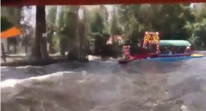 En Video: Así se sintió el temblor de México en los canales de Xochimilco